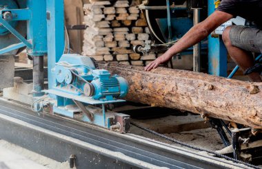 Modern kereste fabrikası. Sanayi kütüklerden testere tahtaları