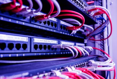 Ağ anahtarı ve ethernet kabloları kırmızı ve beyaz renklerde