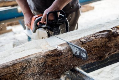 Ağaç kesen kereste fabrikasında testere ile ağaç kesiyor. Modern kereste fabrikası. Sanayi kütüklerden testere tahtaları