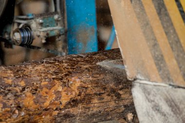 Modern kereste fabrikası. Sanayi kütüklerden testere tahtaları