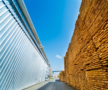 Kereste kuru fırına yüklenmeye hazır. Konteynırlarda odun kuruyor.