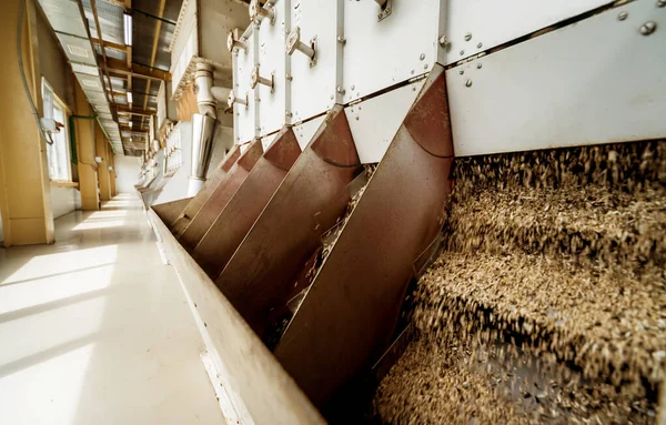 Modern doğal petrol fabrikası, endüstri geçmişi.