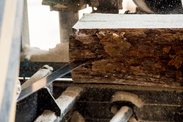 Modern kereste fabrikası. Sanayi kütüklerden testere tahtaları
