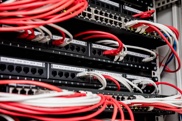 Network switch and ethernet cables in red and white colors