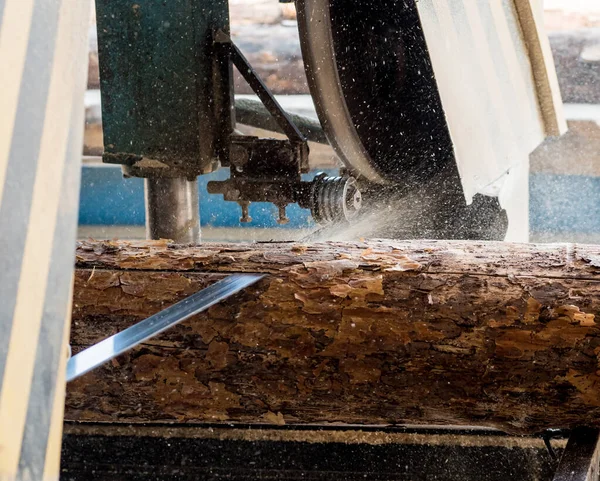 现代锯木厂 工业用原木锯板 — 图库照片