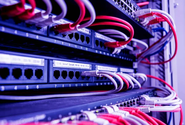 Διακόπτης Δικτύου Και Καλώδια Ethernet Κόκκινο Και Λευκό Χρώμα — Φωτογραφία Αρχείου