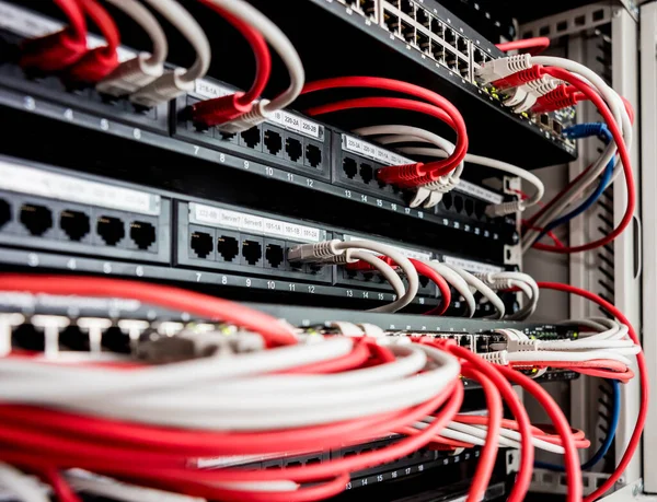 Ağ anahtarı ve ethernet kabloları kırmızı ve beyaz renklerde