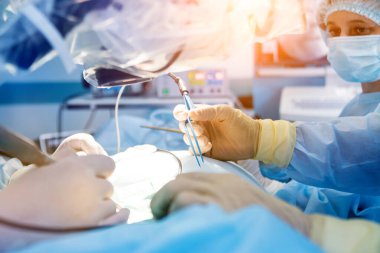 Omurilik ameliyatı. Ameliyathanede ameliyathanede ameliyat aleti olan bir grup cerrah. Laminektomi. Modern tıbbi arka plan