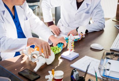 Doktor omurga modelinde poliaxial vida olduğunu gösteriyor. Omurga saplantı sistemleri. Omurilik ameliyatı
