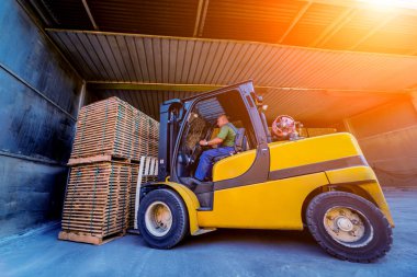 Forklift yükleyicisi keresteleri kuru fırına yüklüyor. Ağaç kuruyor.