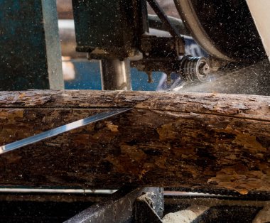 Modern kereste fabrikası. Sanayi kütüklerden testere tahtaları