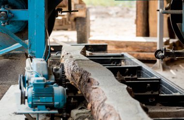 Modern kereste fabrikası. Sanayi kütüklerden testere tahtaları