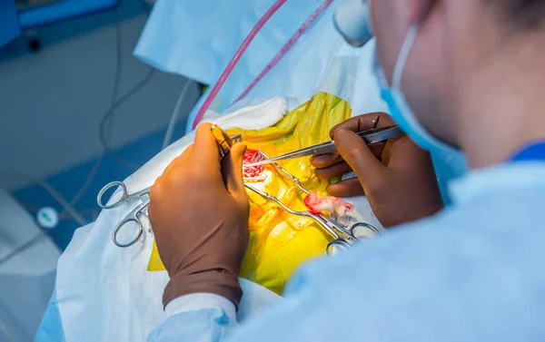 Brain surgery. Group of surgeons in operating room with surgery equipment. Modern medical background