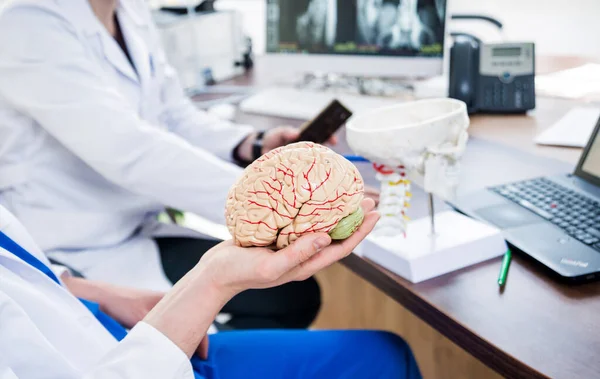 2人の医師が入院している 脳手術の前に医療問題について話し合う 脳のレイアウト — ストック写真