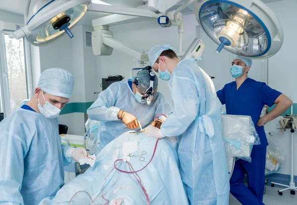 Wirbelsäulenoperationen. Gruppe von Chirurgen im Operationssaal mit Operationsausrüstung. Laminektomie — Stockfoto