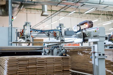 Ahşap zemin fabrikasının üretim hattı, endüstriyel arka plan