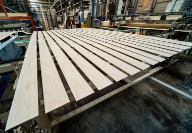 Ahşap zemin fabrikasının üretim hattı, endüstriyel arka plan