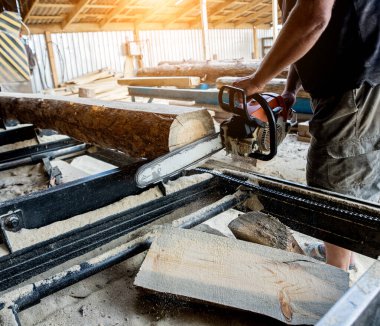 Ağaç kesen kereste fabrikasında testere ile ağaç kesiyor. Modern kereste fabrikası. Sanayi kütüklerden testere tahtaları