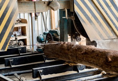 Modern kereste fabrikası. Sanayi kütüklerden testere tahtaları