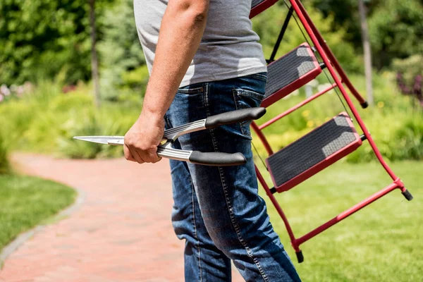 Jardinero profesional va a cortar árboles con tijeras de jardín y escalera —  Fotos de Stock