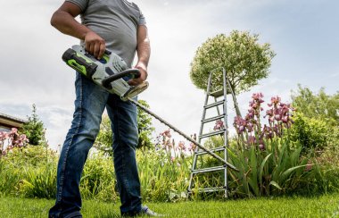 Bahçıvan çim biçme makinesiyle ağaçları buduyor.