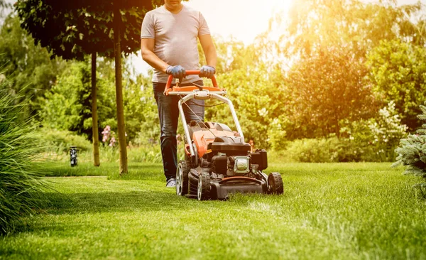 Trädgårdsmästare klipper gräsmattan. Landskapsplanering. Grönt gräs bakgrund — Stockfoto