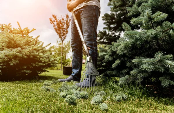 Gärtner harkt Laub im Garten. — Stockfoto