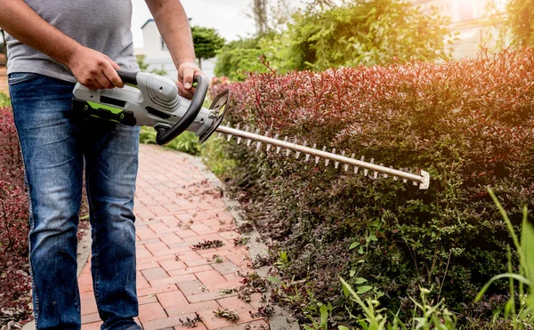 Un arbuste de taille jardinier avec taille-haies — Photo