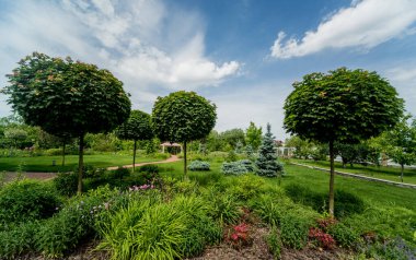Güzel bahçe manzarası tasarımı. Yaz günü arkaplanı