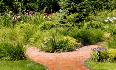 Güzel bahçe manzarası tasarımı. Yaz dönemi. Yeşil çimen arkaplanı