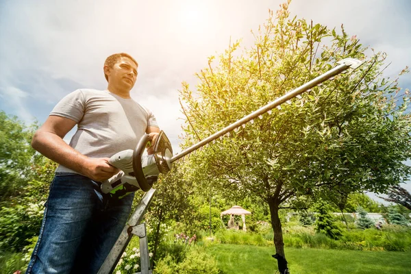 Een tuinier trimt bomen met heggenschaar — Stockfoto