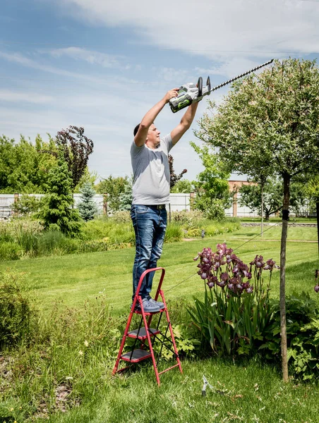 En trädgårdsmästare trimmar träd med häcksax — Stockfoto