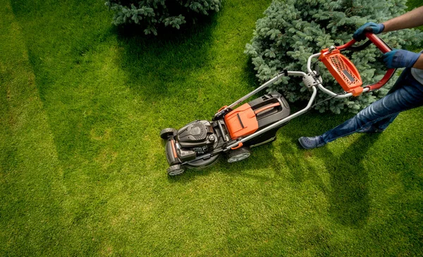 Садовник стрижет газон. Пейзаж дизайн. Зеленый фон — стоковое фото