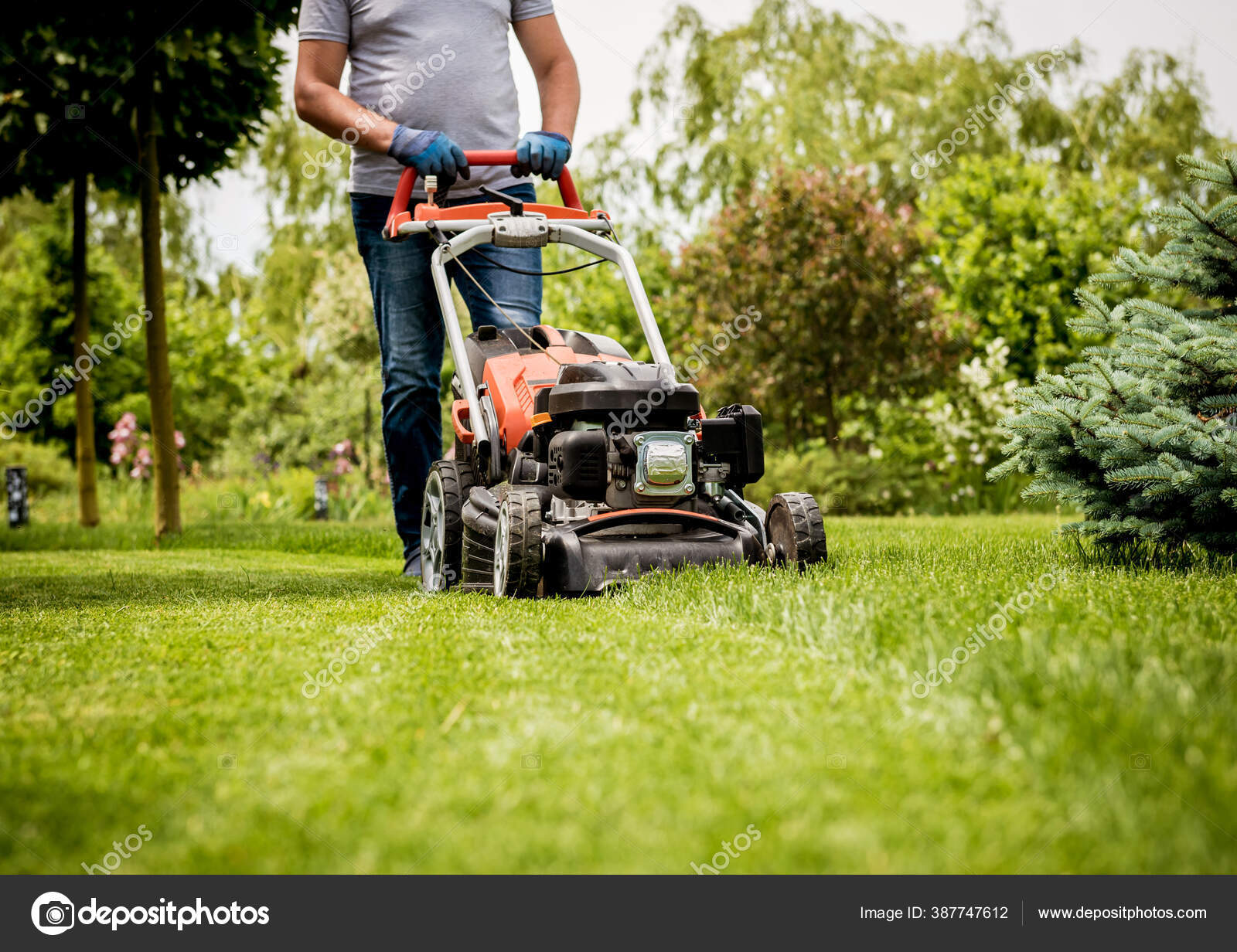 Gardener mowing the Landscape Green grass background