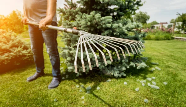 Trädgårdsmästare kratta skär blad i trädgården. — Stockfoto