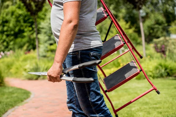 Giardiniere professionista va a tagliare alberi con forbici da giardino e scala — Foto Stock