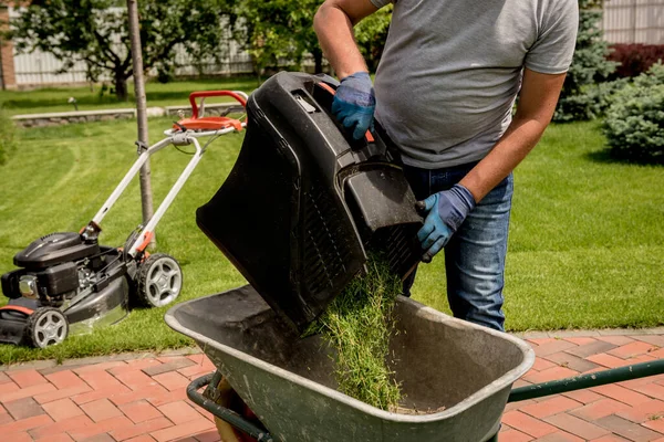Садівник спорожнює траву газонокосарки в інвалідний візок після косіння . — стокове фото