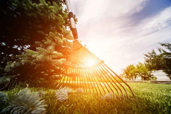 Tuinman harken snijden bladeren in de tuin. — Stockfoto