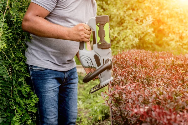 Een tuinier trimmen struik met heggenschaar — Stockfoto