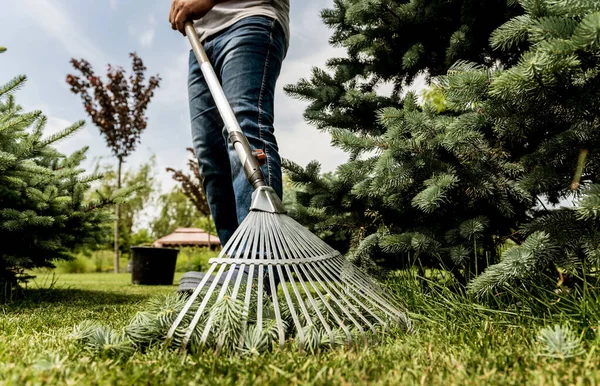 Trädgårdsmästare kratta skär blad i trädgården. — Stockfoto