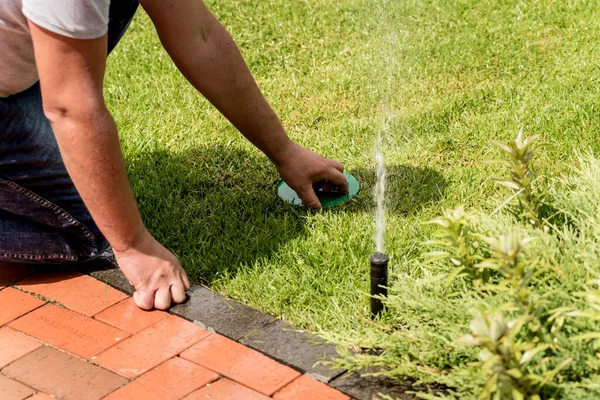 Bevattningssystem vattning trädgård gräsmatta. Landskapsplanering. — Stockfoto