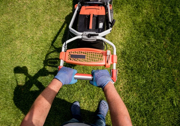 Tuinman maait het gras. Landschapsontwerp. Groene achtergrond — Stockfoto