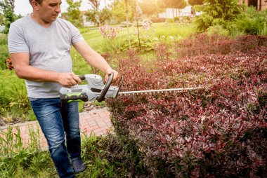 Çim biçme makinesiyle çalı biçen bir bahçıvan