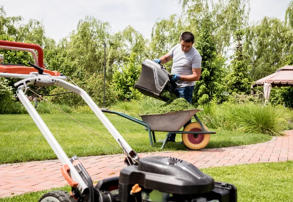Jardineiro esvaziar grama cortador de grama em um carrinho de mão depois de cortar . — Fotografia de Stock