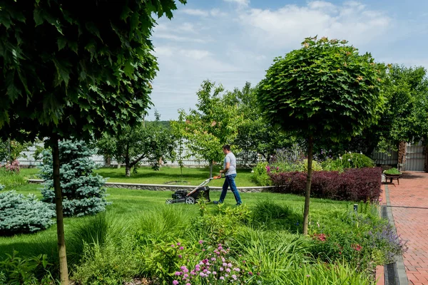 Jardinero cortando el césped. Diseño de paisaje. Fondo verde — Foto de Stock