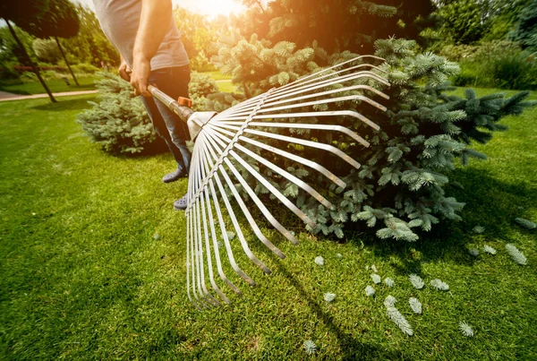 Gärtner harkt Laub im Garten. — Stockfoto