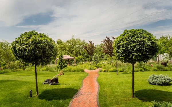 Hermoso diseño de paisaje de jardín. Fondo del día de verano — Foto de Stock