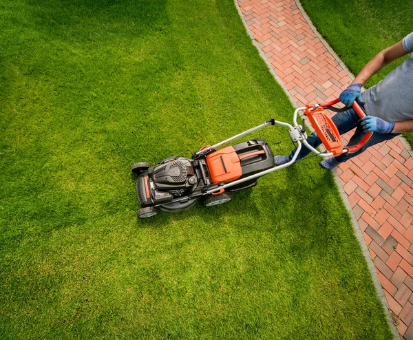 Gardener mowing the lawn. Landscape design. Green grass background