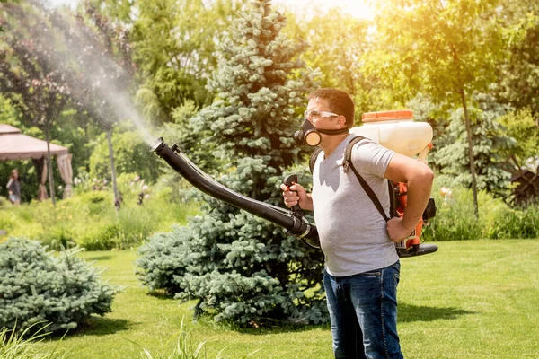 Trädgårdsmästare i skyddsmask och glasögon sprutar giftiga bekämpningsmedel träd — Stockfoto