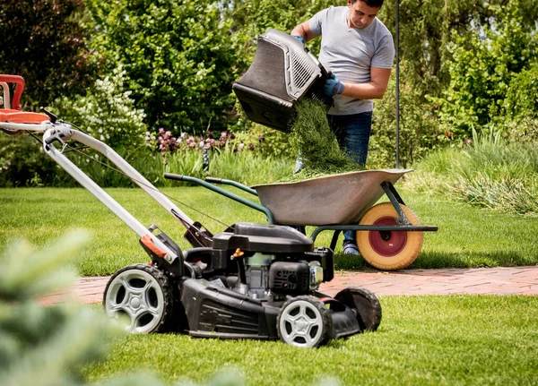 Trädgårdsmästare tömma gräsklippare gräs i en skottkärra efter klippning. — Stockfoto